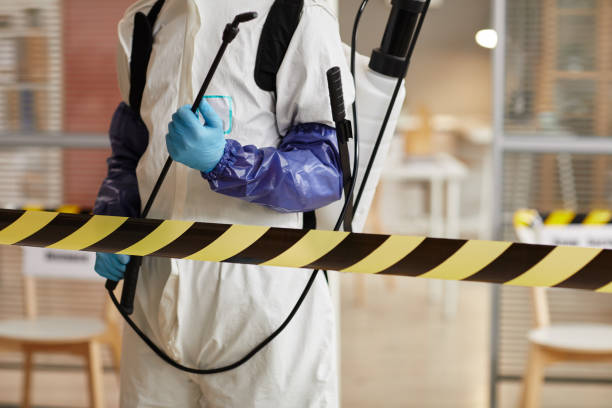 Professional Crime Scene Cleanup technician working in Cedarpines Park, CA